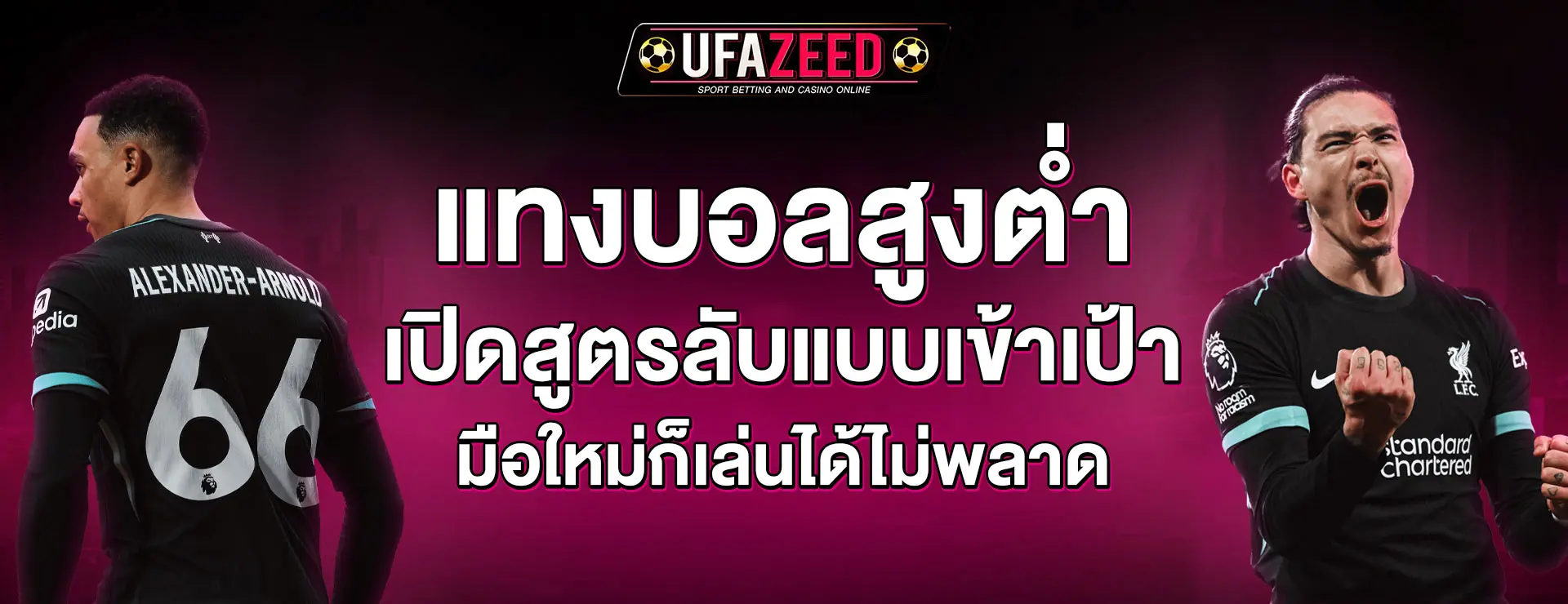 แทงบอลสูงต่ำ